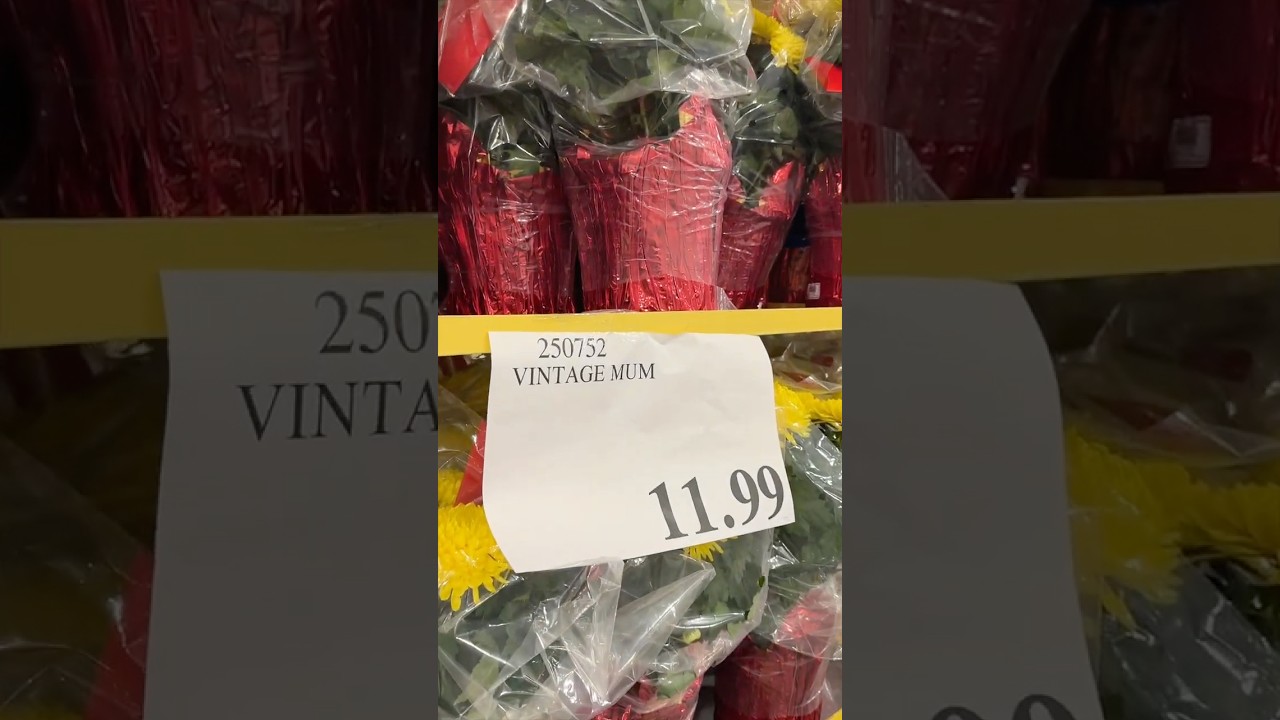 Costco sold THIS??? for Chinese New Year? They are so wrong! Shopping for the lunar new year