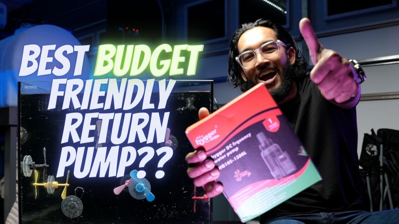 Upgrade your reef tank with this budget return pump!