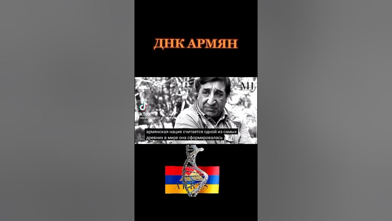 Генетическая карта армян. Are armenians white. Гены армян. Гены армян. Генетический код армянского народа.