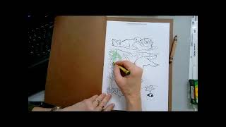 Sea Otter Book- Cover and Coloring Page