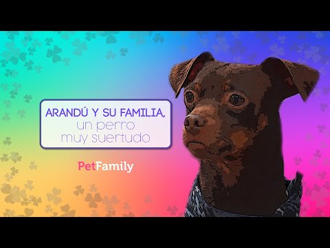 Conoce a Arandú y su familia, un perro muy suertudo ??
