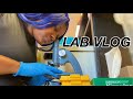 Lab Vlog (Biology PhD Student) | Setting up an Experiment