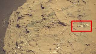 Perseverance Rover Recently Sent Mars Plant Real Video On Sol 1038 Mars 4K Video.