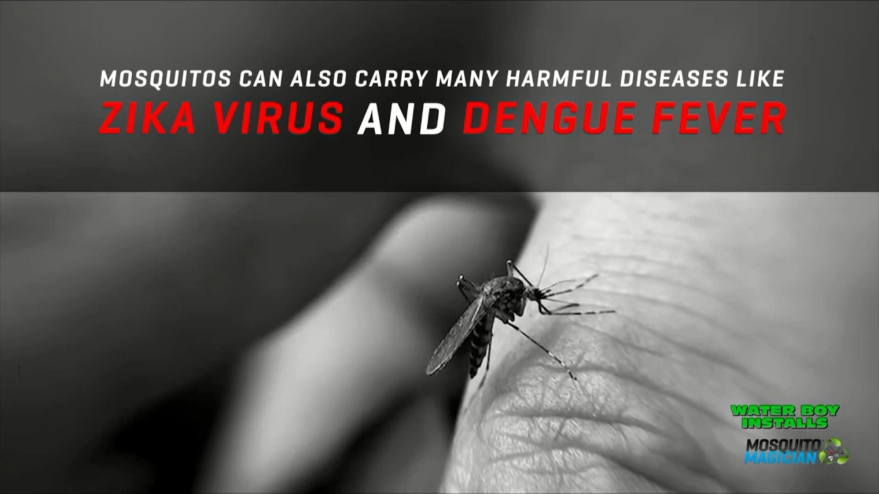 Sprinkler Magician Mosquito Magician YouTube