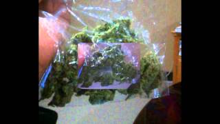 IceMike X smoke loud