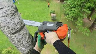 Арбористика‼️Удаление Высоких Наклоненных Деревьев🌳Arborist‼️Removal Of Tall Leaning Trees🌳