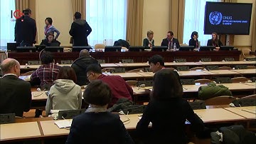 IGF 2017 - day 1 - WK XII - WS12 - Social Responsibility and Ethics in Artificial Intelligence