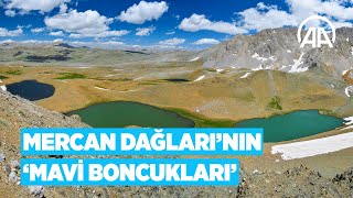 Mercan Dağları'nın 'mavi boncukları' Resimi