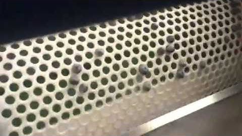 blueberry sorting machine, blueberry size grading machine-0086 13613837205