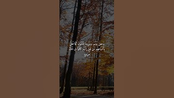 سورة سبأ 52-54 #explore #اكسبلور #قرآن