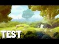 (Video-Test) Ori and the Blind Forest