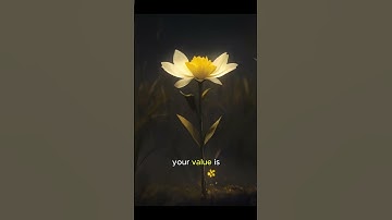 “Your value doesn’t decrease based on someone’s inability to see your worth.”