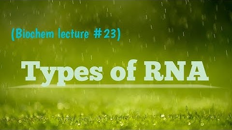 Types of RNA