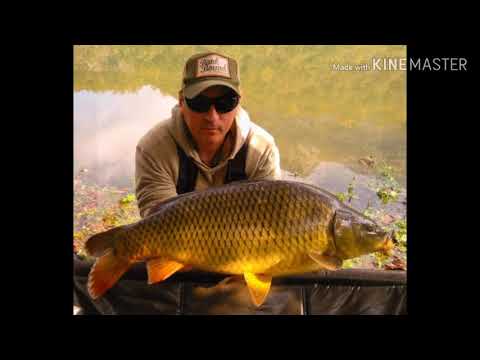 Wild Carp fishing