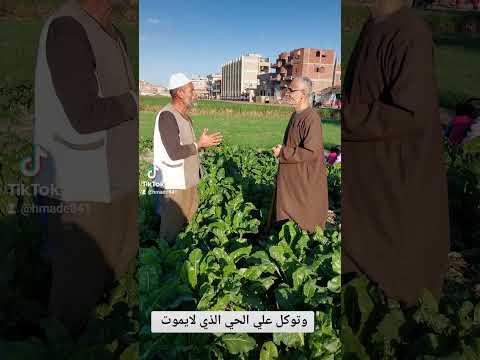 لا يزال جبريل يوصيني بالجار حتى ظننت انه يورثه قالها عليه الصلاه والسلام