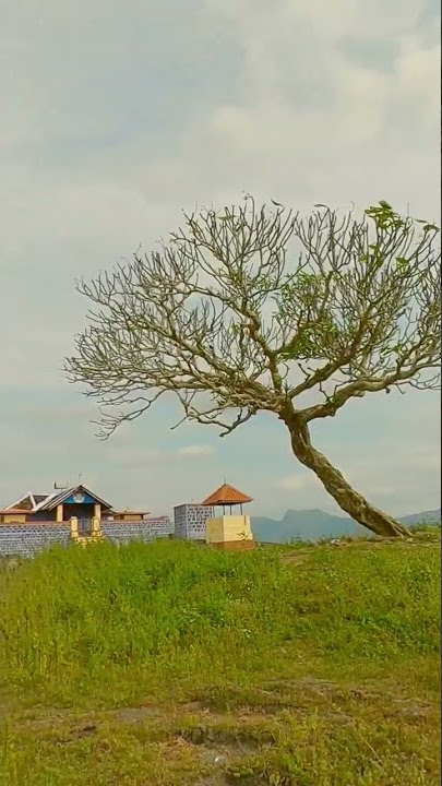 Vamala muruka temple  Pallasana   #pallavurvamala #pallavurtemple #kerala #movelocatin #Travel