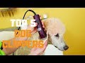Best Dog Clippers in 2019 - Top 5 Dog Clippers Review