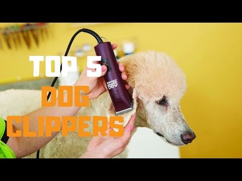 best-dog-clippers-in-2019---top-5-dog-clippers-review
