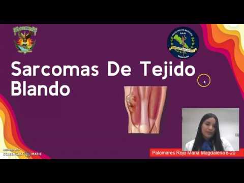 Vídeo: Importancia Pronóstica De La Expresión De WT1 En El Sarcoma De Tejidos Blandos