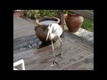 heron Цапля — длинноногая болотная птица
