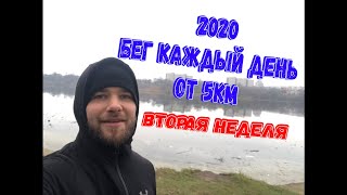 Вызов 2020: Бегаю каждый день от 5 км, ВТОРАЯ НЕДЕЛЯ