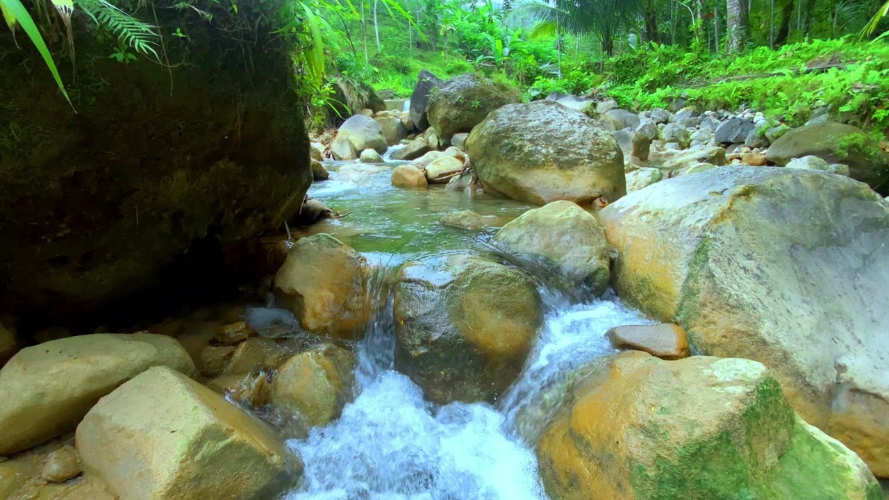 Soothing River Flow for Calm Awareness