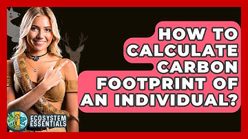 How To Calculate Carbon Footprint Of An Individual? - Ecosystem Essentials