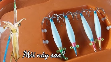 Cách Ngư Dân Làm Mòi Câu Mực Ống |Câu Mực Biển Tây #21