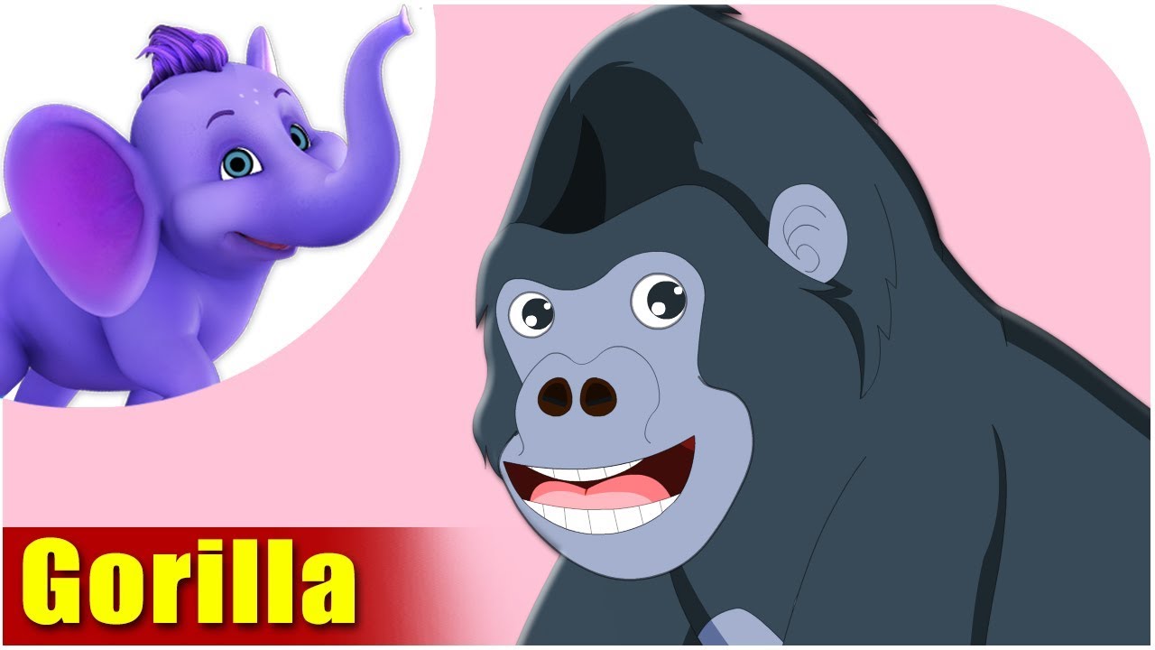 Gorilla - Animal Rhymes in Ultra HD (4K) - Appu Series