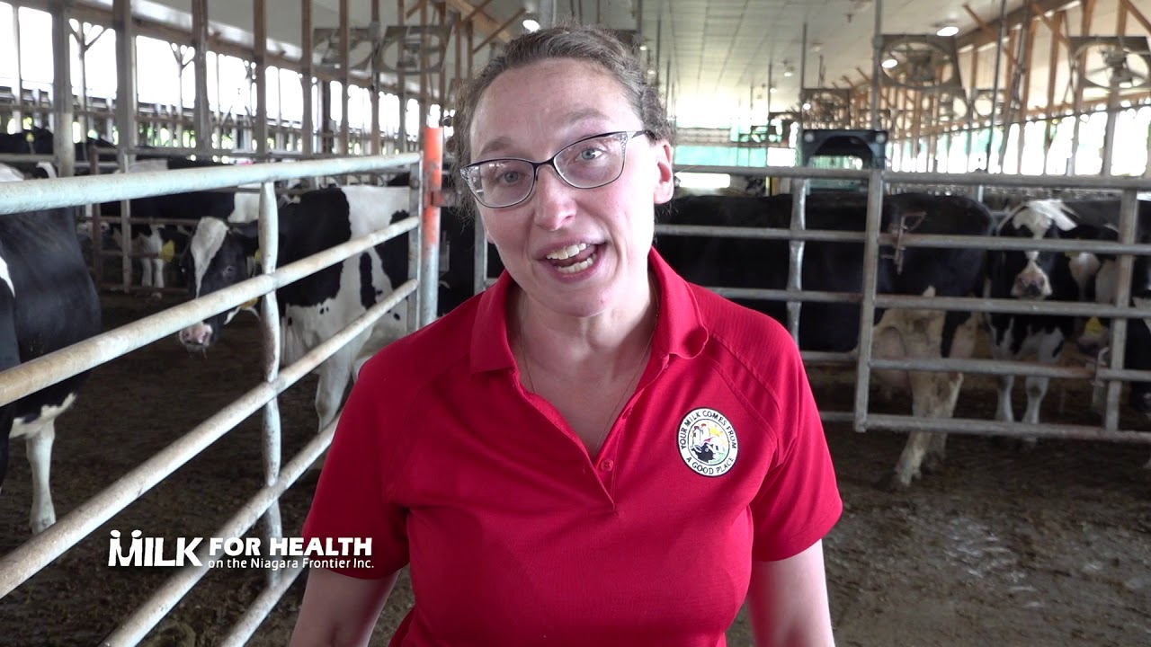 Meet Natasha Sutherland and take a tour of Stein Farms in LeRoy, New