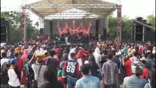 BONGKAR ELSA SAFIRA MONATA