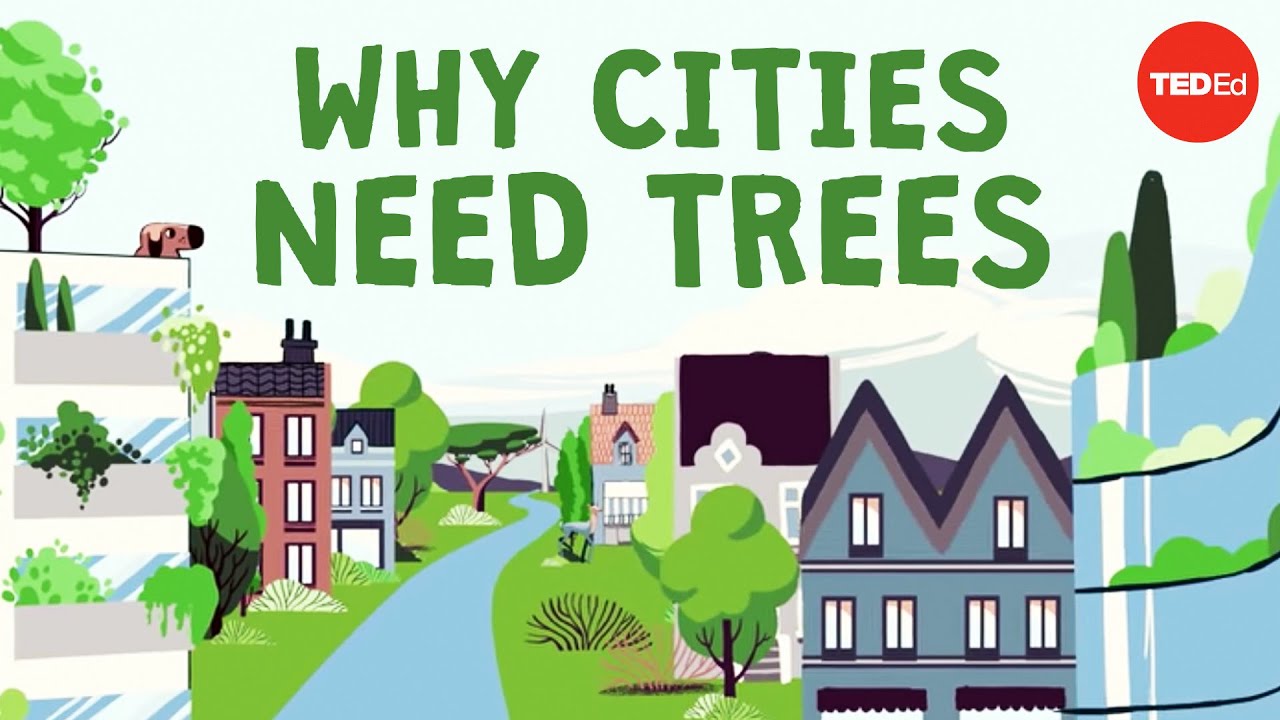 What happens if you cut down all of a city's trees? - Stefan | TED-Ed