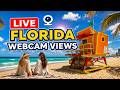 🌴Florida Live: Webcam Views! - MIAMI - FORT LAUDERDALE - PANAMA CITY BEACH- KEY WEST✨🌴 05-03-2026