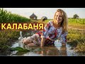 КАЛАБАНЯ Український Народний Хіт для Душі Весела Танцювальна Пісня