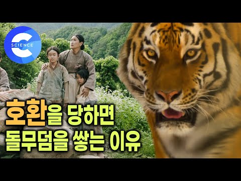 호랑이에게 죽으면 매장하지 않고 화장하는 이유 🔥🐯 밭일하다가 호랑이에게 물려 죽던 19세기 말 강원도 호식총  | 호환 | 한반도 범의 나라 | 다큐프라임