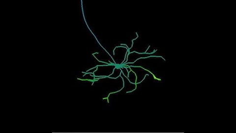 Compartmented model of neuron with passive dendrites and Hudgkin/Huxley soma/axon