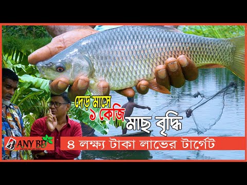 ভিডিও: কখন আমার পুকুর হাইসিন্থে জল দেওয়া উচিত?