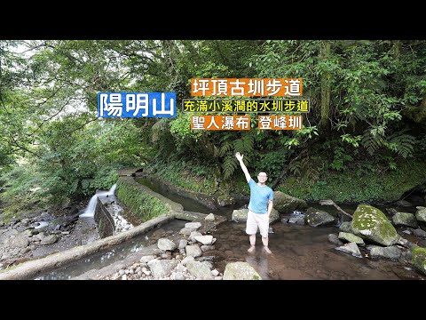 陽明山坪頂古圳步道，全程森林與小溪澗的水圳步道 夏日降溫必訪的大自然消暑景點