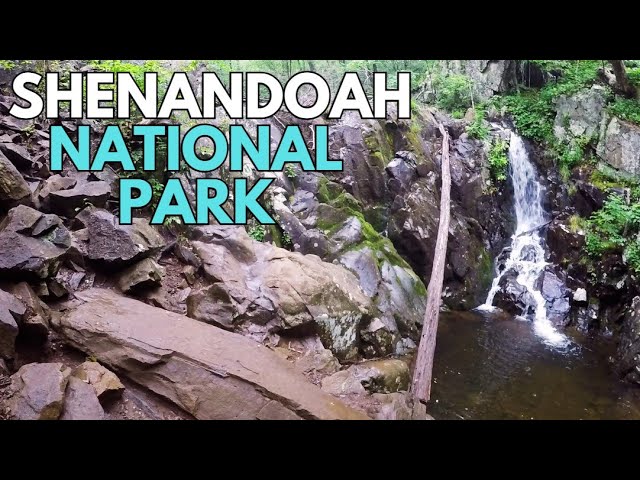 What is so Special about Shenandoah National Park?