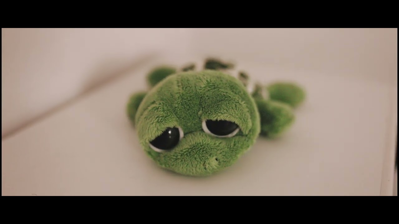 Take Your Time – QuajoKusi | Nostalgic Bedroom Pop