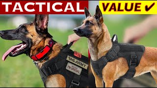 10 Best TACTICAL Dog Vest Harness