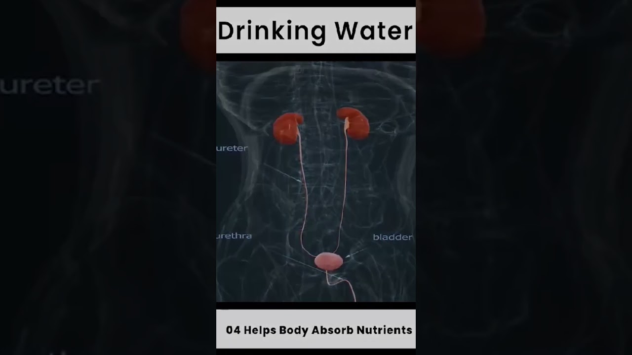 Drinking water helps you ##