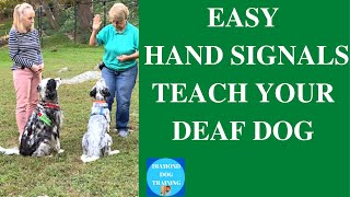 How To Teach A Deaf Dog To Lay Down And More Easy Hand Signals