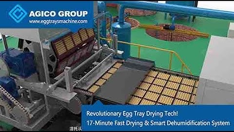 🔥 Revolutionary Egg Tray Drying Tech! 17-Minute Fast Drying & Smart Dehumidification System