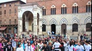 SIENA 2019: il flashmob per la Giornata Mondiale della Danza