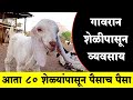 गावरान शेळीपासून व्यवसाय सुरू | आता 80 शेळ्यांपासून पैसाच पैसा | Shelipalan Mahiti | Maze Ran Shvar