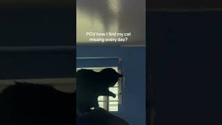 He Can Open Doors And Windows