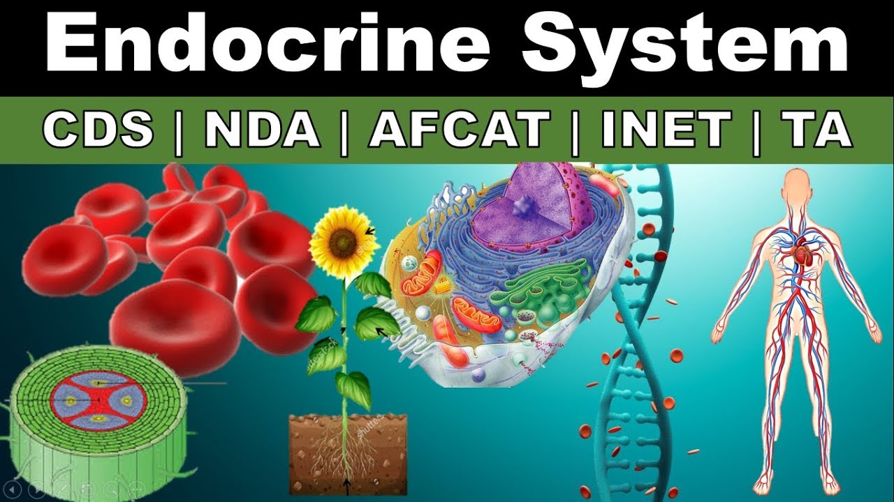 Endocrine System | CDS | INET | NDA | AFCAT | SSB | NCERT | Biology by Varshney