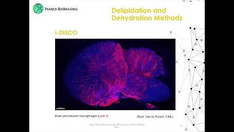 Course 2 - Sample preparation and mounting principles – highlight on clearing approaches