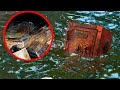 Most Amazing Discoveries Made By Treasure Hunters